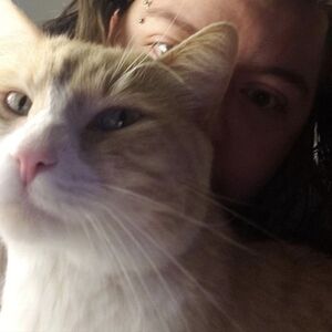 Meet your Posher, Shawn